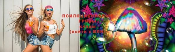 МДМА Горняк