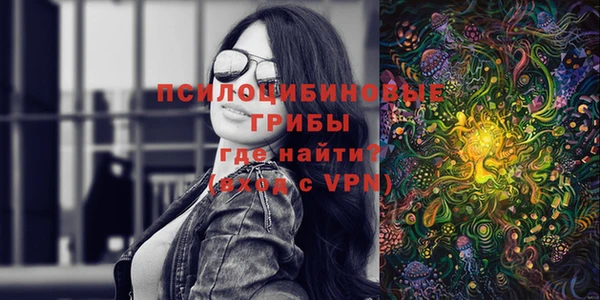 МДМА Горняк