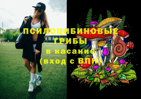 твердый Горнозаводск