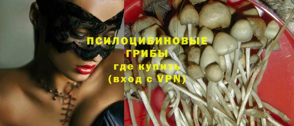 МДМА Горняк