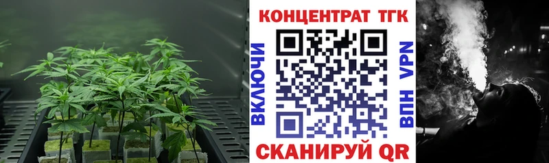 ТГК Wax  Лабинск 
