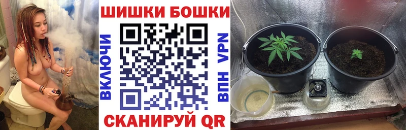 Канабис семена  как найти наркотики  площадка какой сайт  Лабинск 